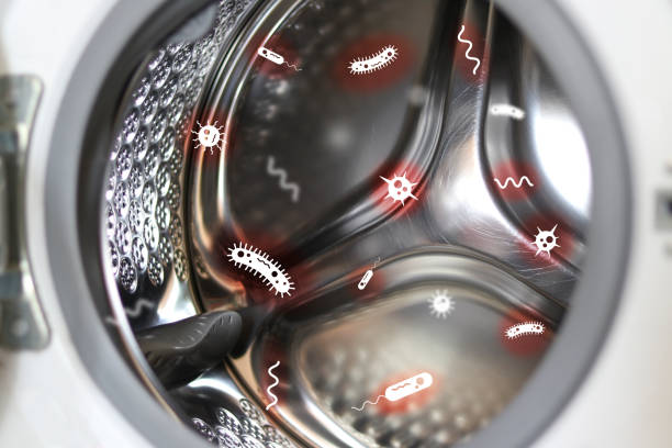 Фото почему из стиральной машины неприятный запах - наличие бактерий